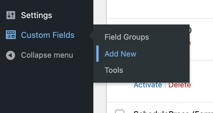 add new custom field group