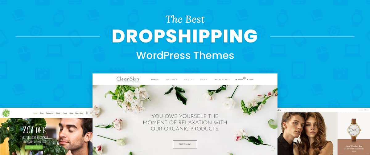 Dropshipping WordPress Themes