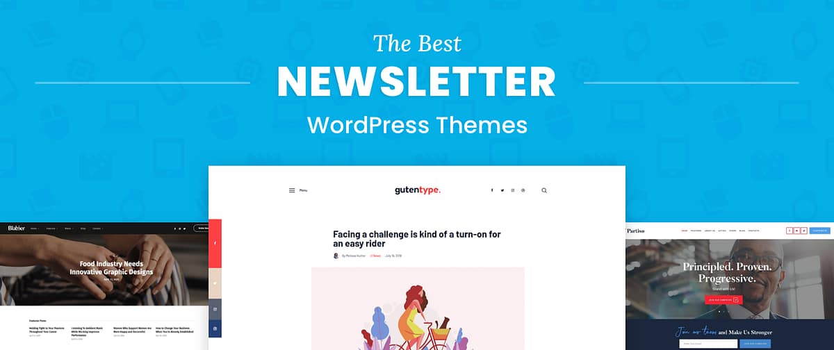 Newsletter WordPress Themes