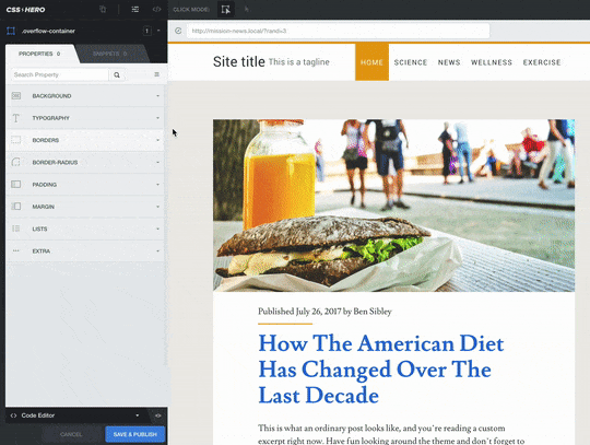 Changing a border color with CSS Hero