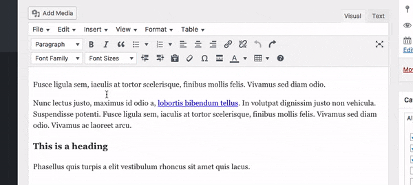 Showing how to change the font size in a post