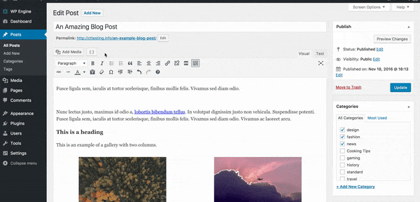 Displaying how to add a column shortcode