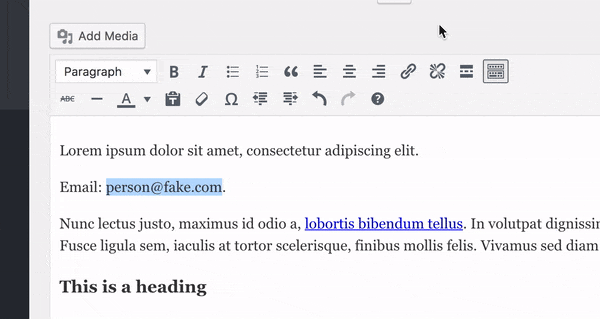 Showing how to add a Mailto link