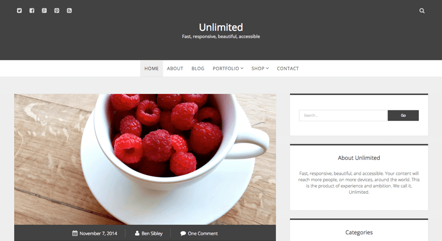 Unlimited WordPress theme