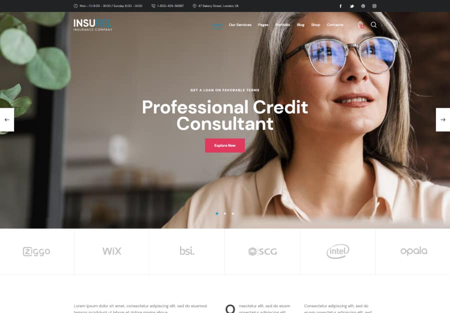 InsuRel theme
