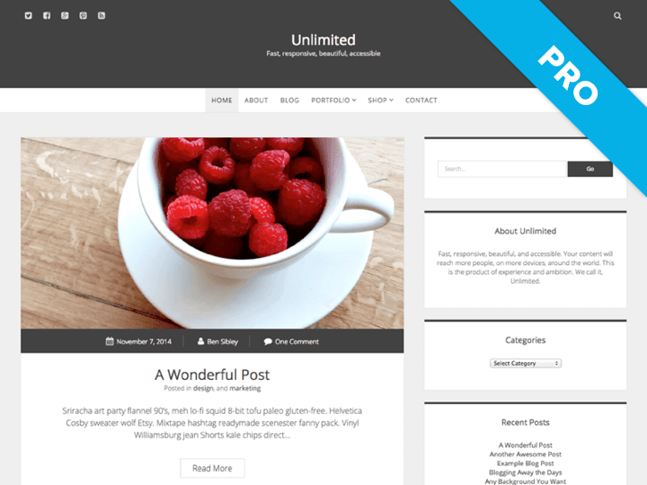Unlimited Pro