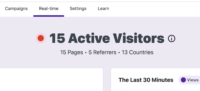 Active Visitors count