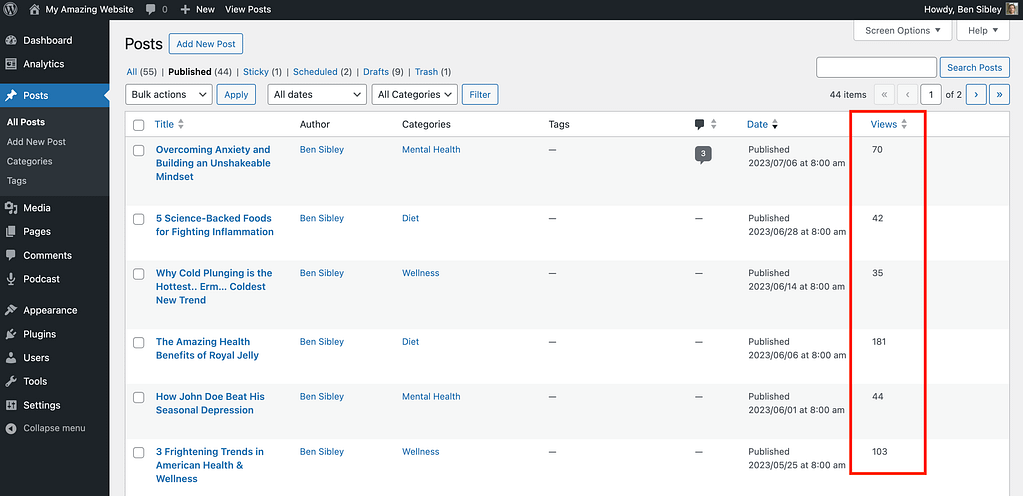 Views column in Posts menu
