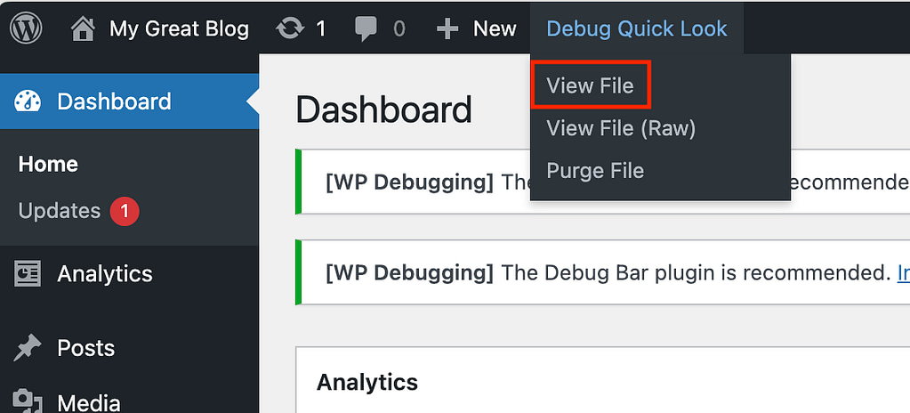 View debug log