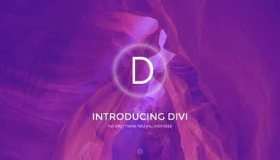 Divi WordPress theme