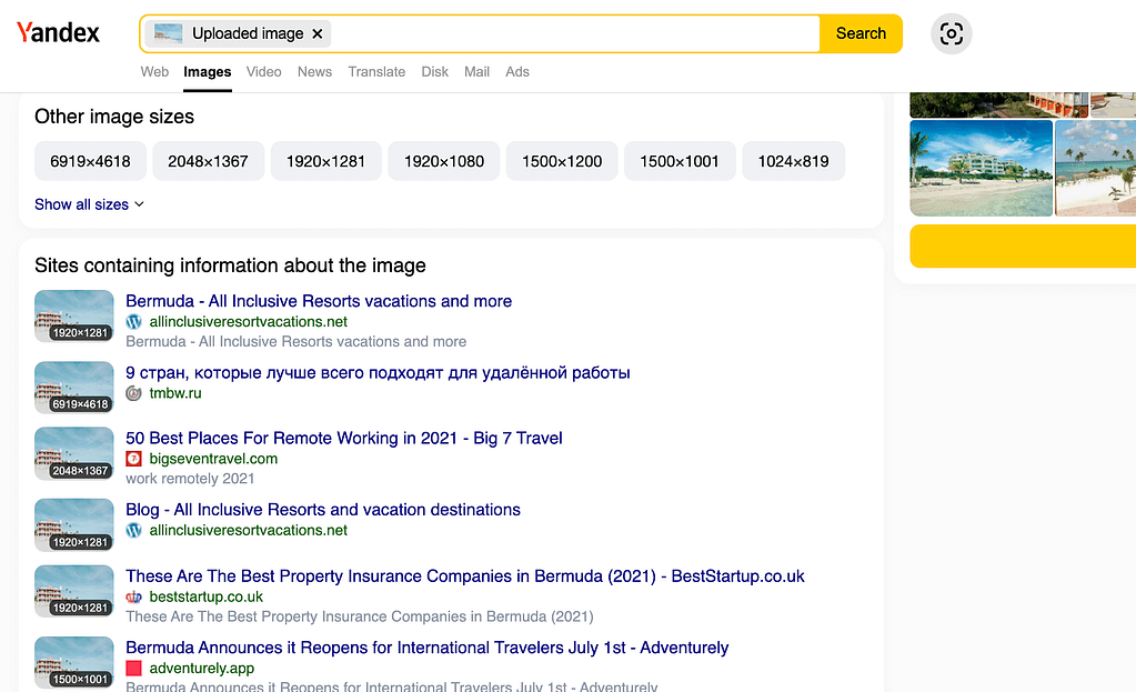Yandex Reverse Image Search Results