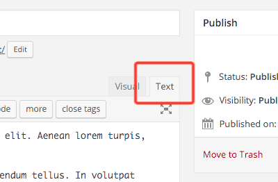 switching the post editor to the Text view