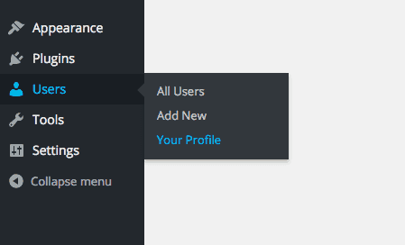 screenshot of the Your Profile menu item
