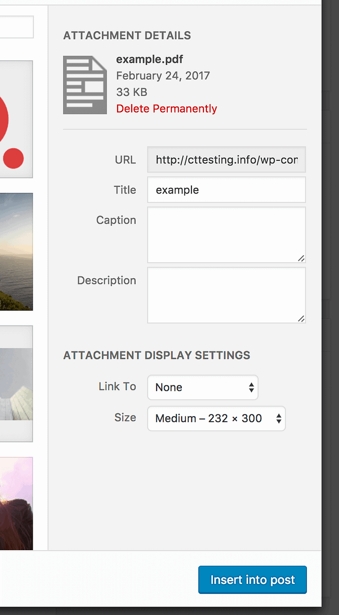 PDF settings and insert buton