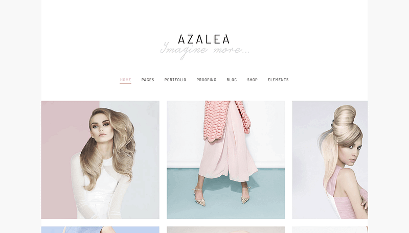 Azalea gallery theme