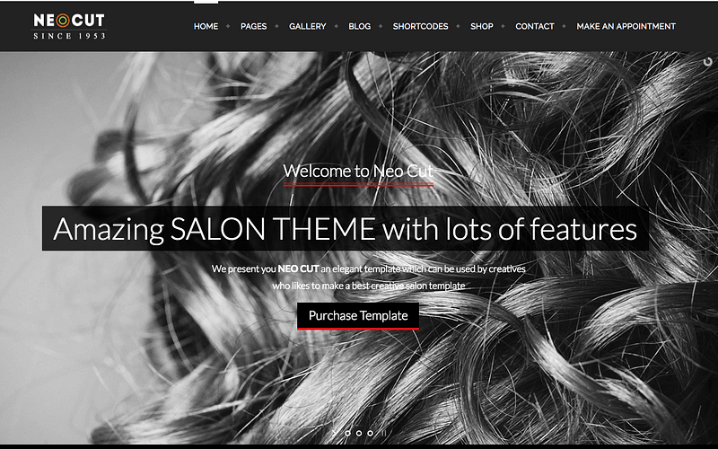 The 6 Best Hair Salon Wordpress Themes For Compete Themes