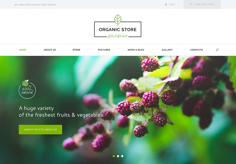 Organic Store theme