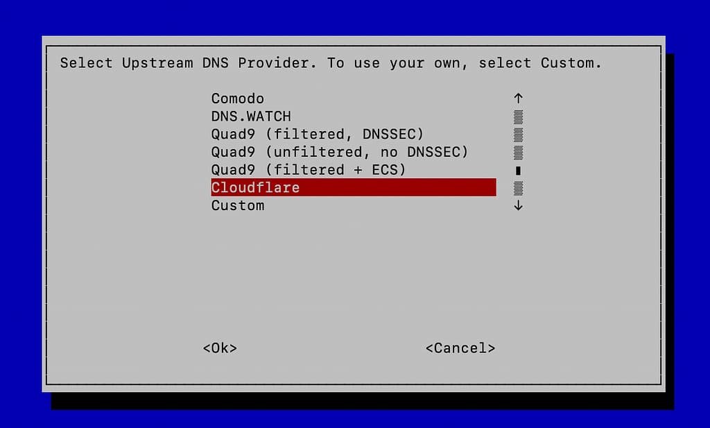 Select Cloudflare for DNS provider