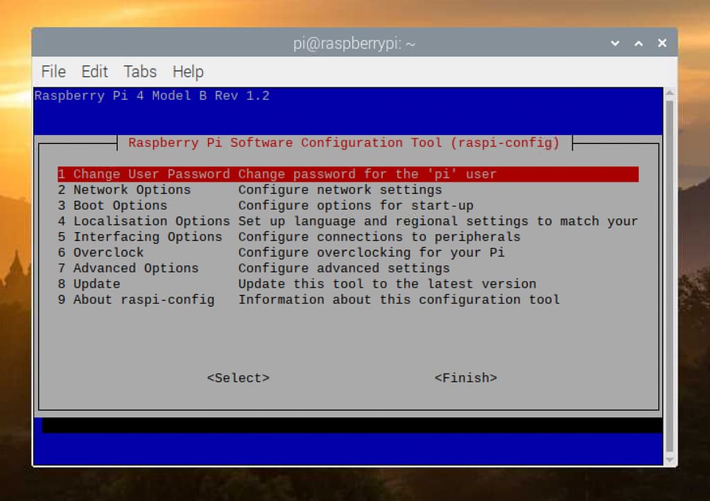 raspi config