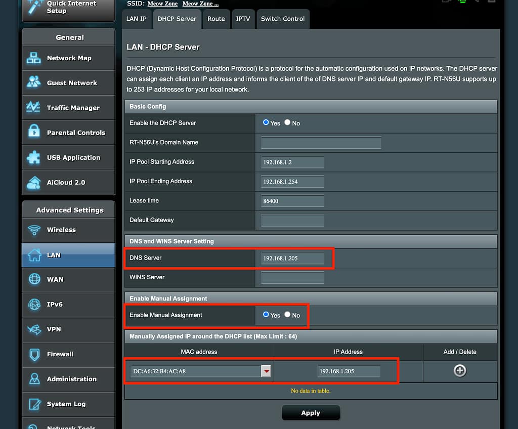 set pi as dns
